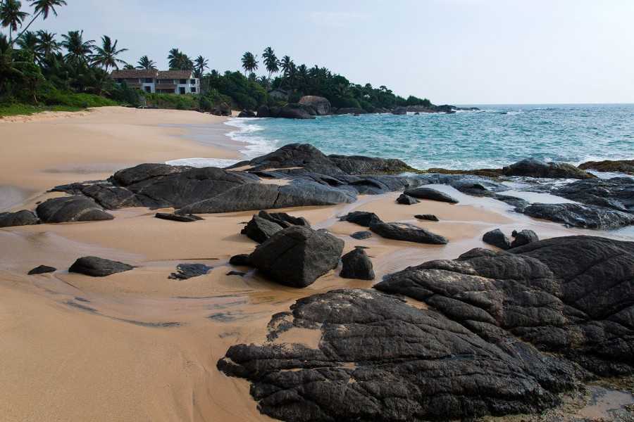 Транспорт в шри-ланке - transport in sri lanka