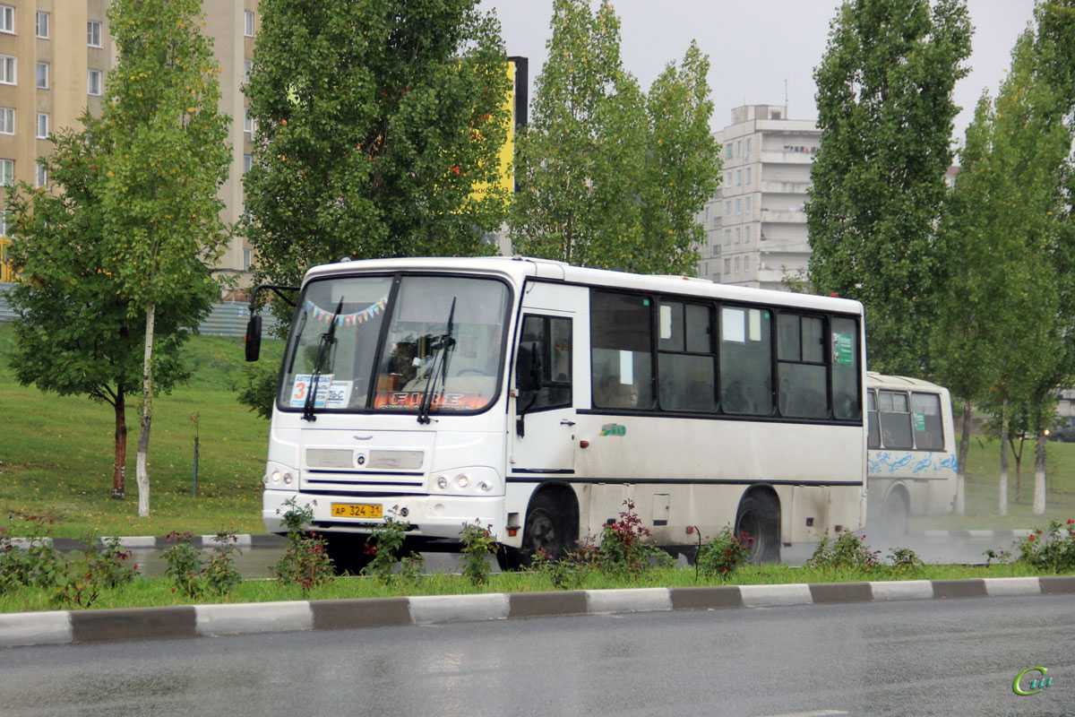 Номер автобуса старый оскол. Автобус ПАЗ 320402. ПАЗ 320402-03. ПАЗ-320402-40. ПАЗ-320402-08.