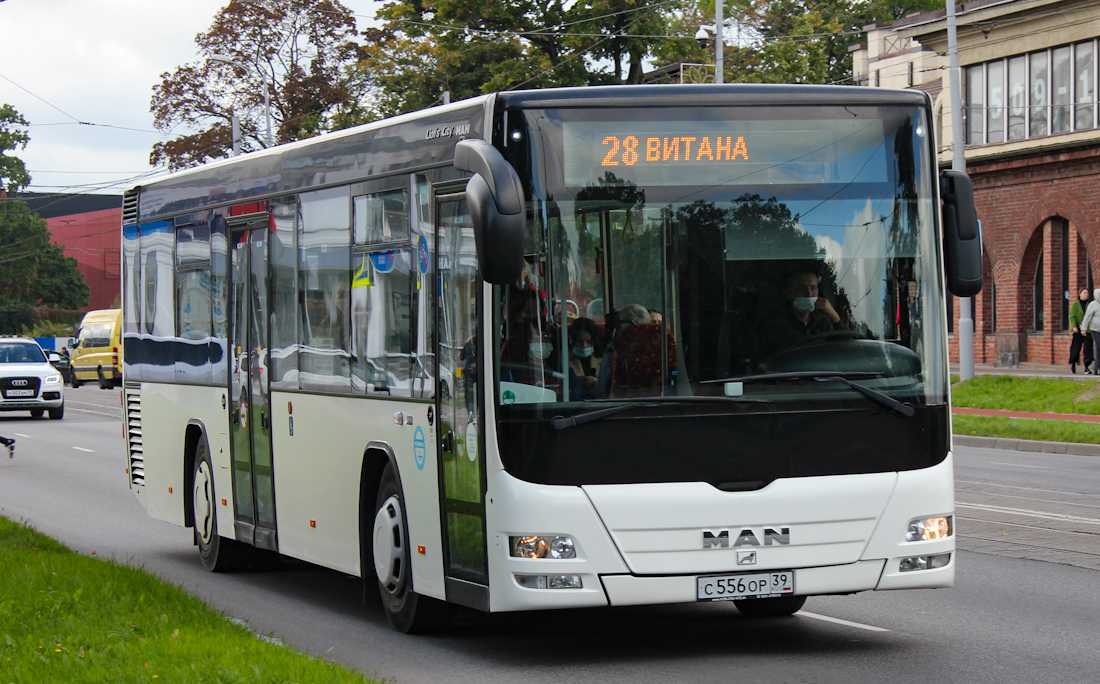 Городской полунизкопольный автобус man lion’s city а78