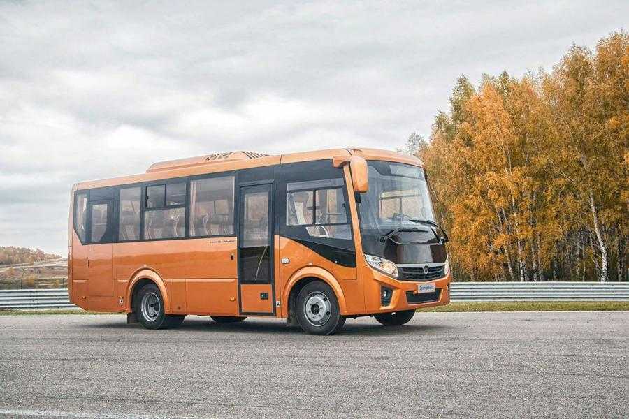 Паз вектор — автобус класса comfort